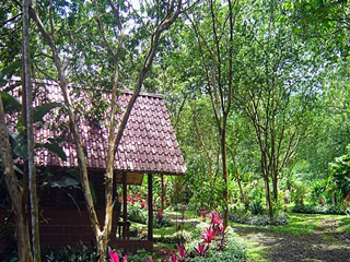 Hotel Arenal Oasis Eco Lodge