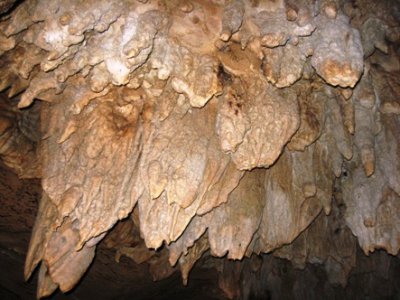 Venado Caves Costa Rica