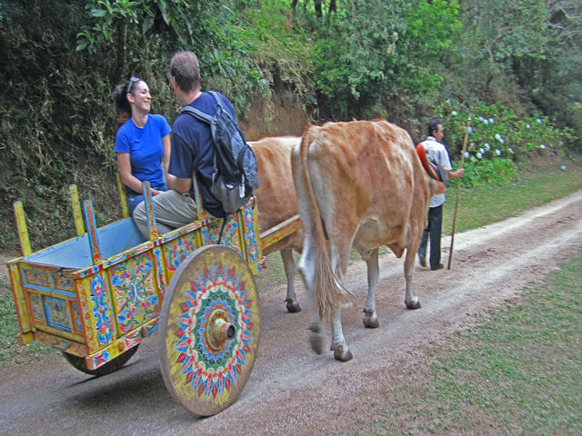 Tours in Monteverde Costa Rica