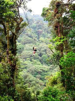 Want to Try a Canopy Tour in Costa Rica? 10 Things You Should Know!