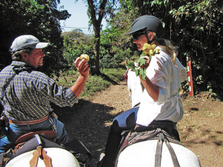 Horse Riding with Horse Trek Monteverde