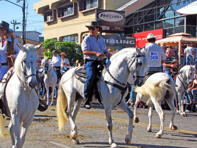 Costa Rica Horse Parades