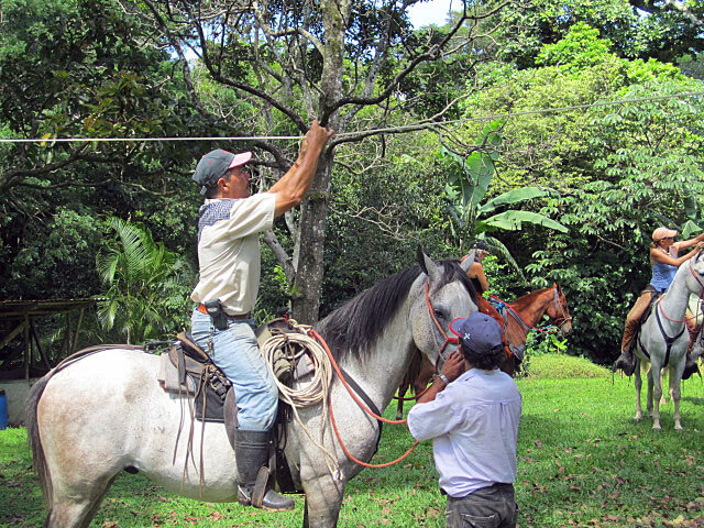 Costa Rica Horse Carrera de Cintas Event