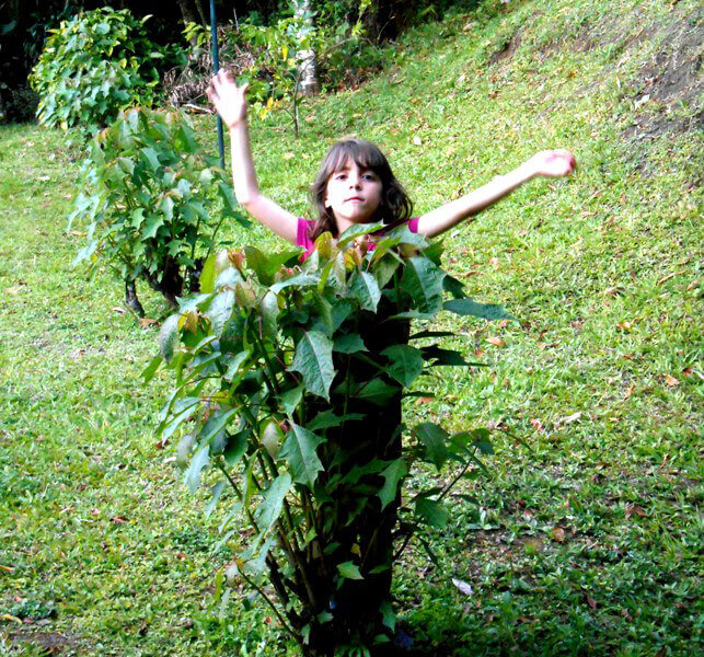 Sage - 6 Years Old Enjoying the Forest in Monteverde