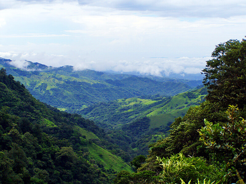 Hotel Las Orquideas | Economy Hotel | Monteverde Costa Rica