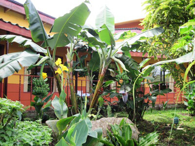 Hotel Los Cipreses Monteverde