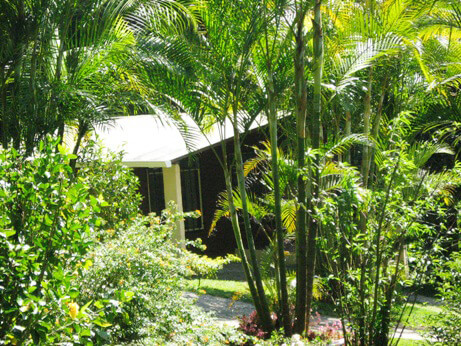 Cabanas Los Pinos | Mid-Range Hotel | Monteverde Costa Rica