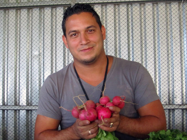 Costa Rica Farmers Market