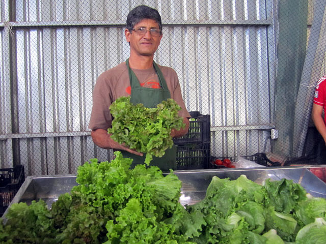 Farmers Market Costa Rica