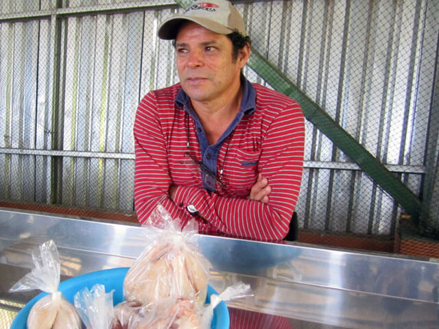 Farmers Market Poultry