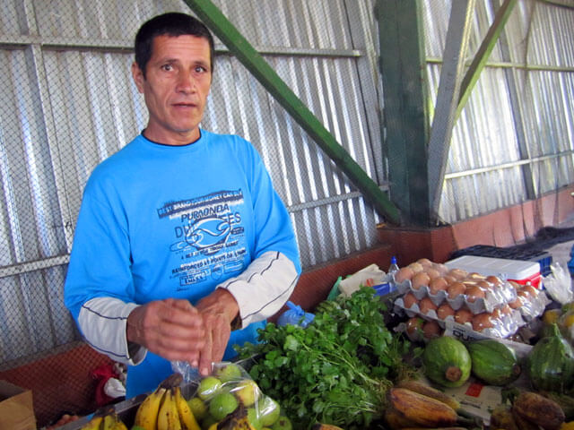 Farming in Monteverde