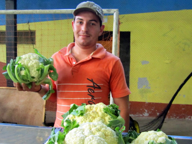 Market in Santa Elena Costa Rica