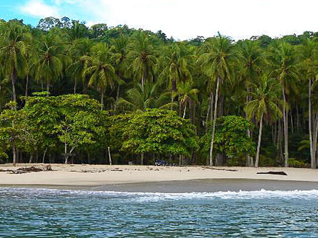 Calypso's Cruise to Tortuga Island Costa Rica