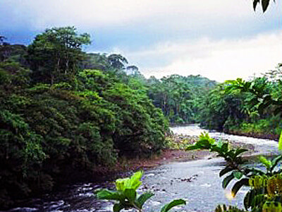 One Day Tour out of San Jose Costa Rica. 3-in-1 Rainforest Adventure