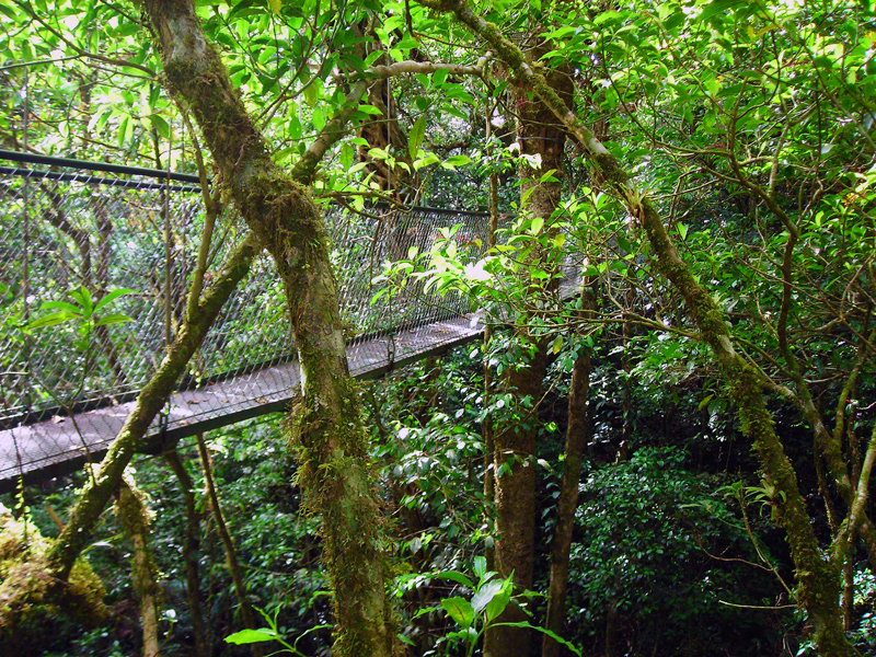 Hanging Bridges Adventura Canopy Monteverde