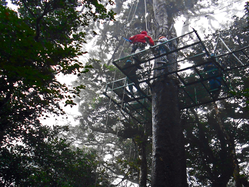 Monteverde Adventura Canopy Tour