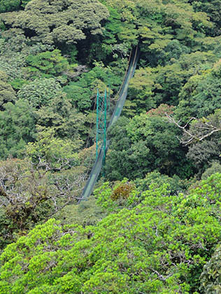 Skywalk Hanging Bridges Monteverde