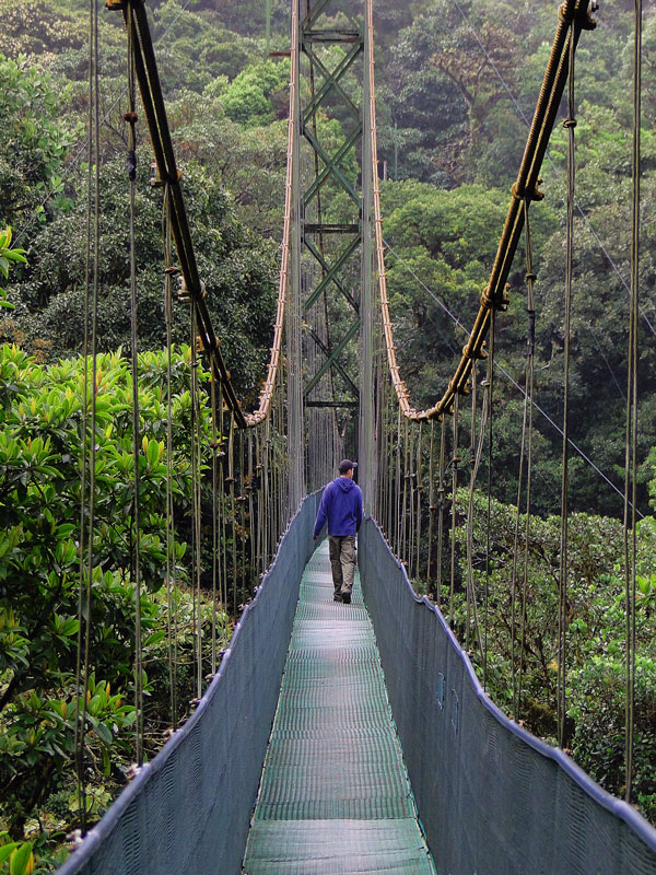 Hanging Bridges Monteverde Skytrek