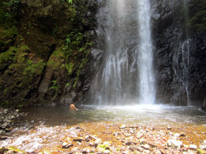 Eden Falls at Monteverde Costa Rica
