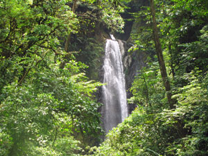 Eden Falls at Monteverde Costa Rica