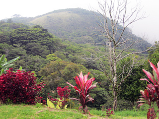 Cabinas Belcruz Monteverde Views
