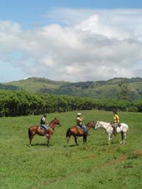 Riding the Cloud Forest of Monteverde and the Arenal Volcano