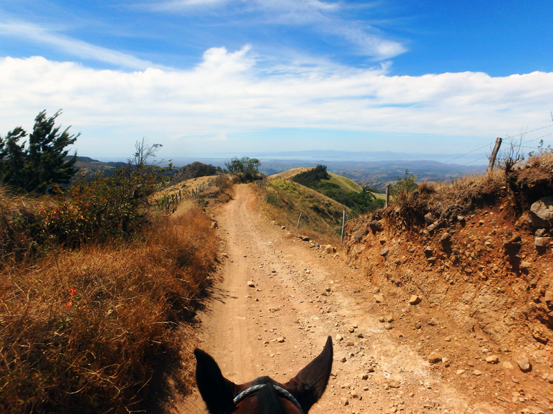 Campesino Trails and Gulf Views Horseback Riding Monteverde