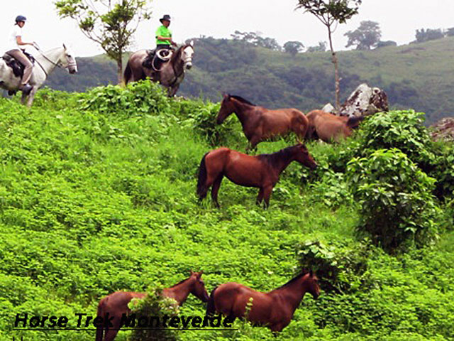 Horseback Costa Rica 3 Day Horse Ride