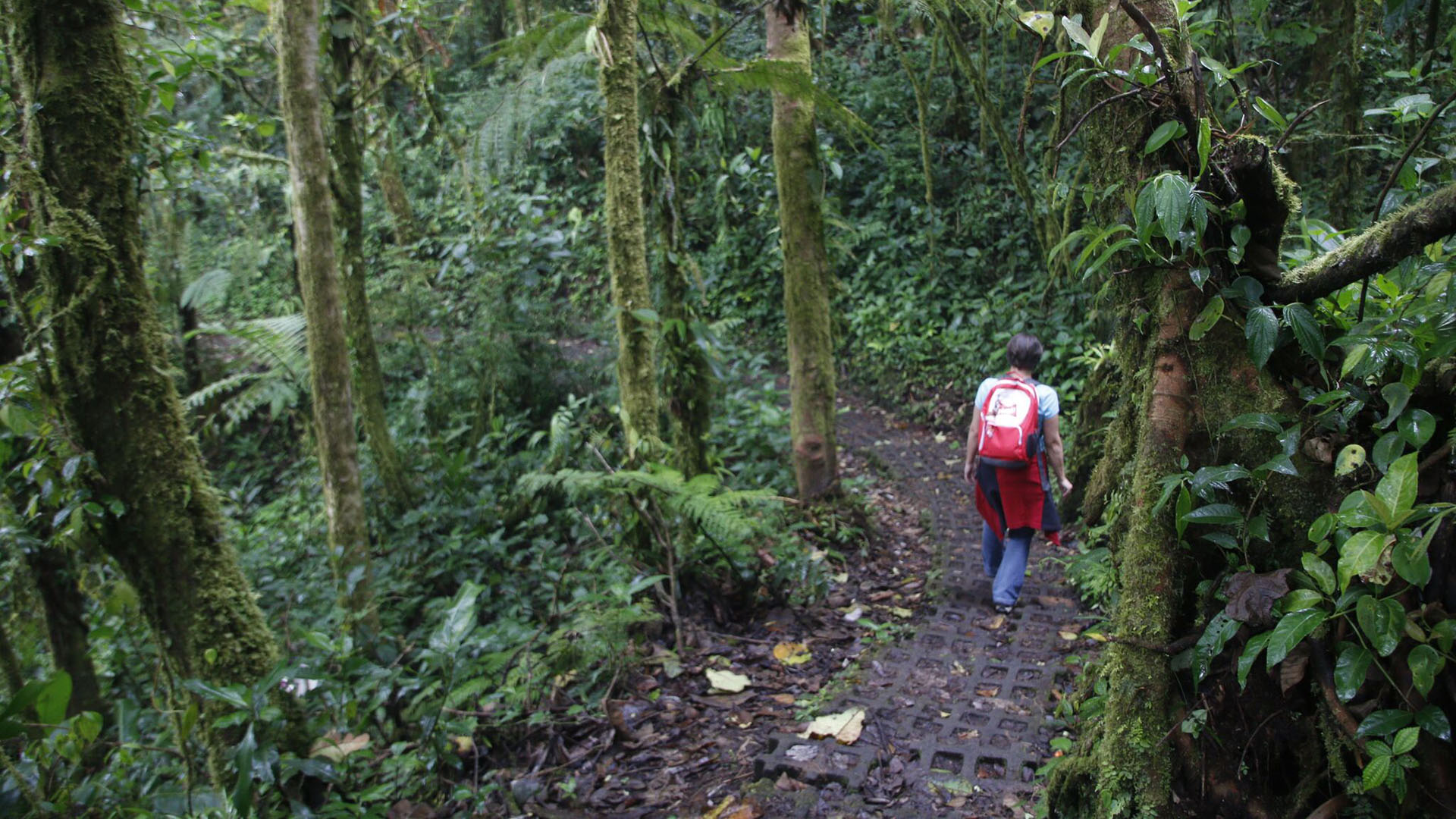 Monteverde Costa Rica Parks