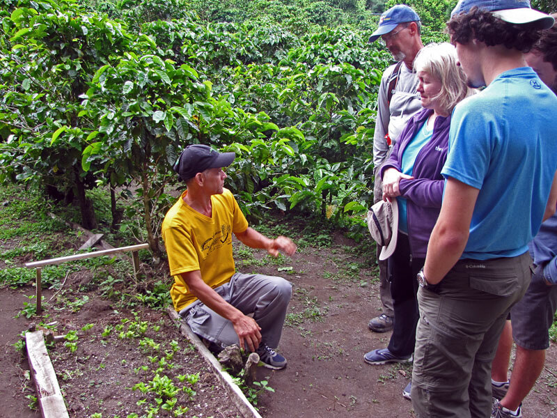 Monteverde Coffee Tour Costa Rica