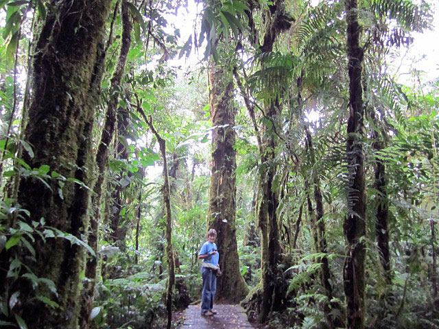 Hikes in the Monteverde Cloud Forest