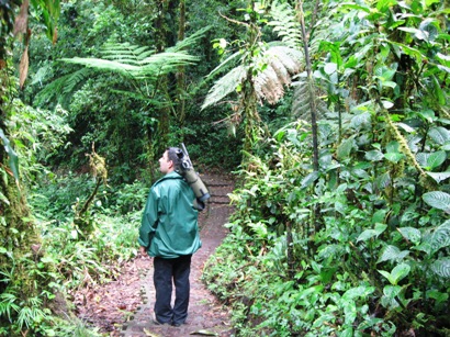Monteverde Forest Guided Tour