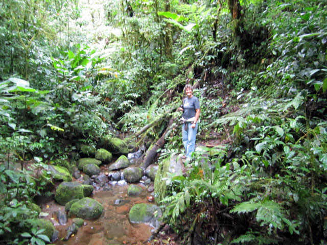 Santa Elena Park Costa Rica